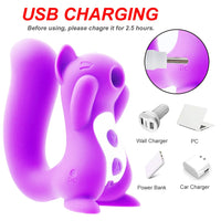 Load image into Gallery viewer, Squirrel Sucking Women Dildo Vibrator
